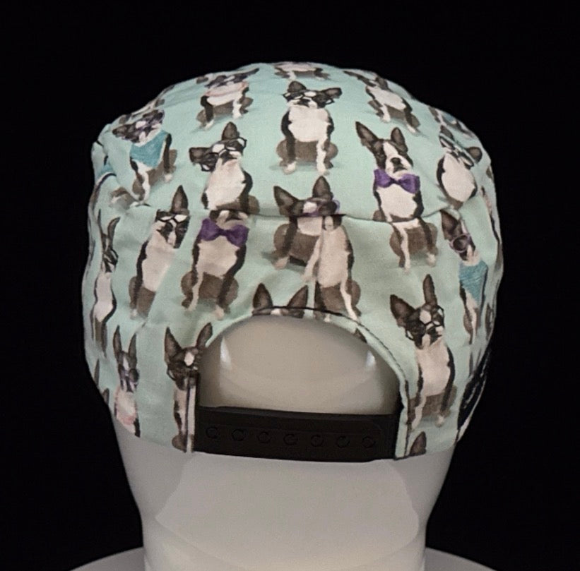 Boston Terrier
